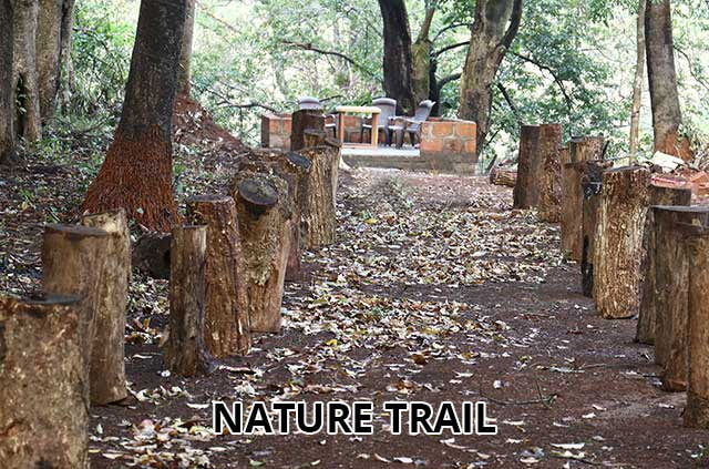 Nature Trail at Gaganbawada