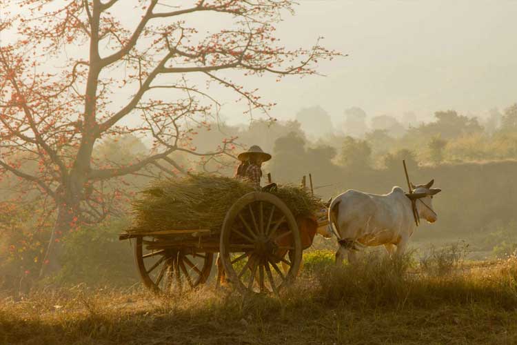 Gaganbawada Village Visit