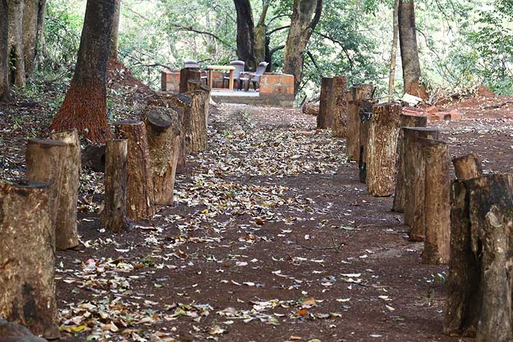 Nature Trail at Gaganbawada