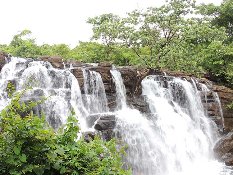 Saavdaav Waterfall - Kankavali